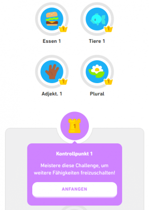 Duolingo-Aufbau-Lektionen-Kontrollpunkt