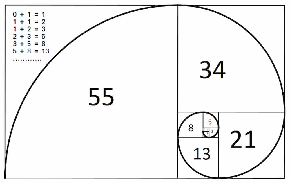 Einführung in die Fibonacci-Zahlenreihe